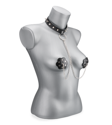Spiked collar and riveted nipple pasties