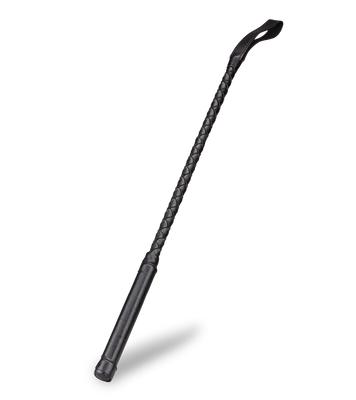 Zatanna BDSM riding crop